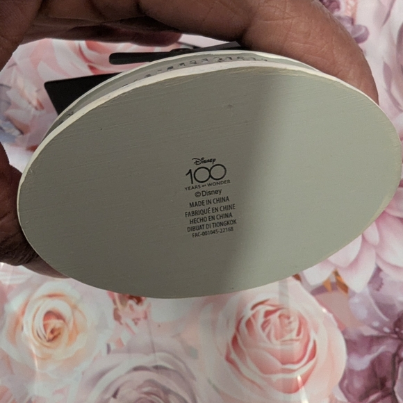 Disney 100 Ornament Black and White plane scene - Picture 4 of 9